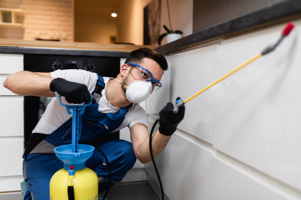 Best Flea Control Services  in Lexington, VA