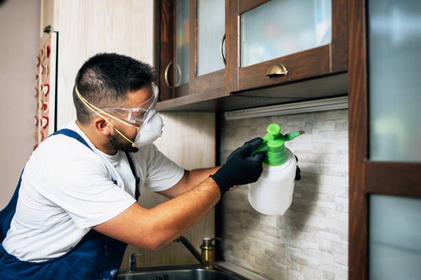 Best Bed Bug Extermination  in Lexington, VA