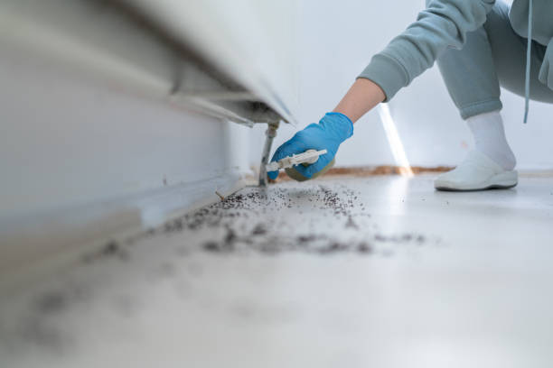 Pest Control Cost in Lexington, VA